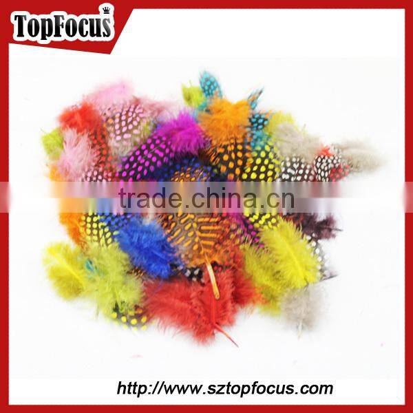 cheap dyed guinea fowl wholesale artificial feathers for carnival costumes