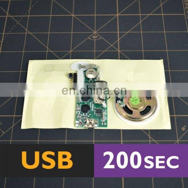 push button recordable sound module