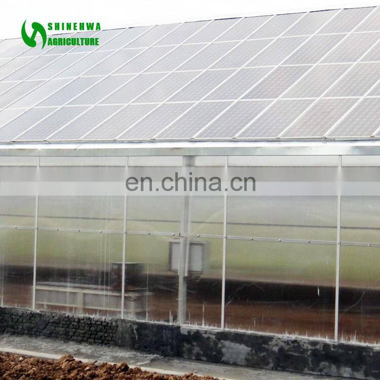 2017 Hot Selling Single Span Solar Agriculture Greenhouse For Tomato In China