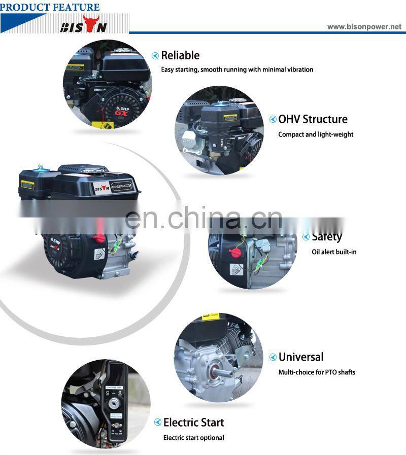 Bison 196cc Gasoline Engine, OHV Gasoline Engine BS200 6.5HP, Single Cylinder 168F-1 Gasoline Engine