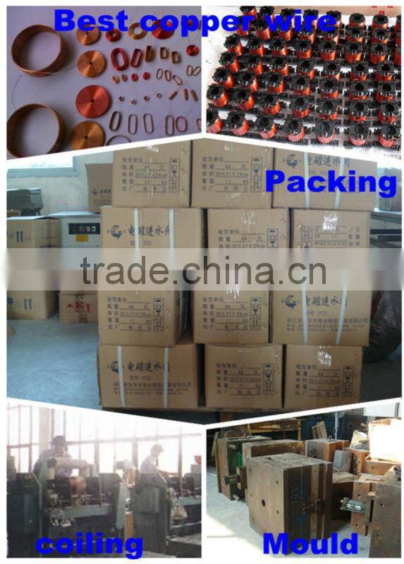 AC/DC 12v/24v/36v/110v/220v/240v vertical 2 ways Plastic solenoid inlet valve