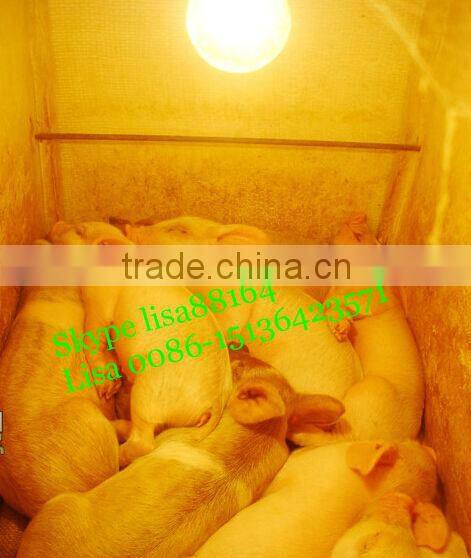 Plastic piglets Heating box for pig farm