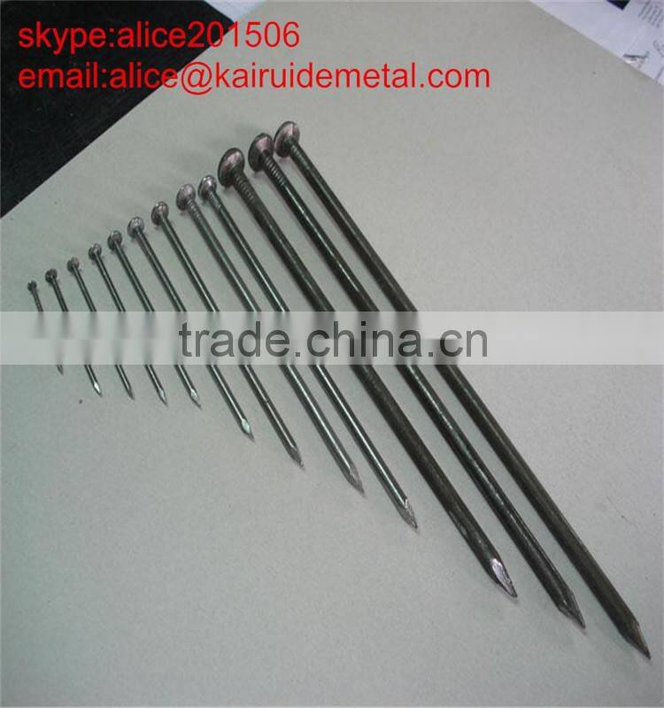 high quality low price common nail factory produce common iron nail