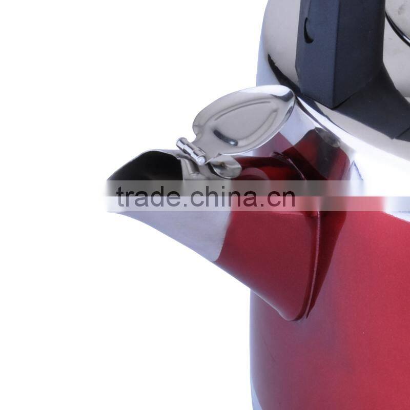 Charms stainless steel tea pot set