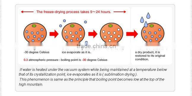 Instant Soup Packets Japan Freeze Dried Miso Soup (Nameko Mushroom Taste)