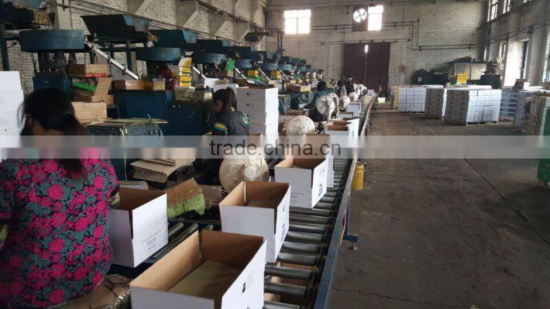 Best selling 4-1/2" 30D hot-dipped galvanized ring shank patio nail