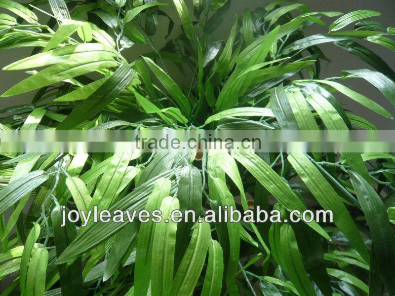 New bamboo leaf bamboo plant