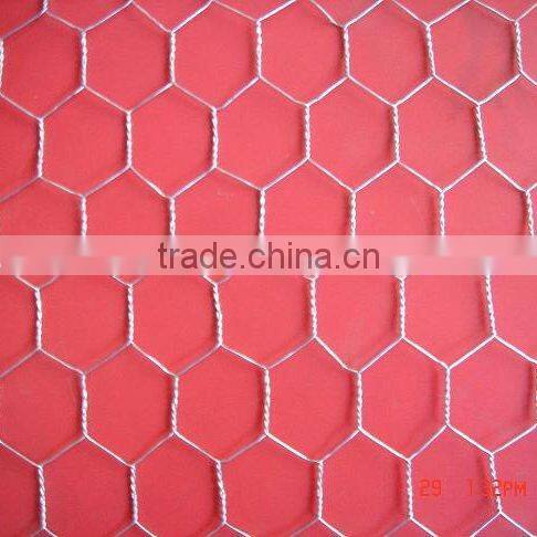 1" Chicken Coop Wire Netting
