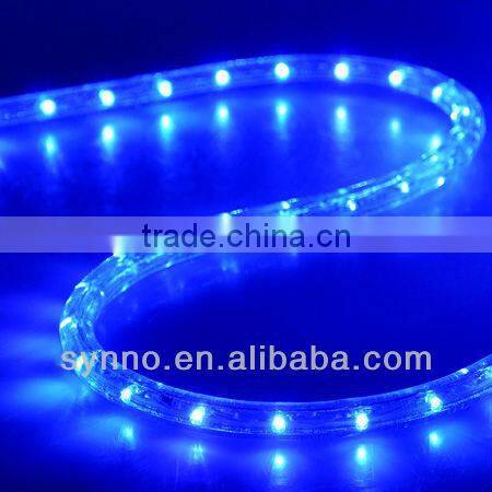220v led rope light