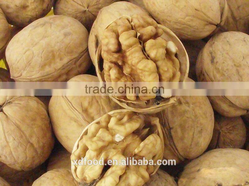 common Thin skin Walnuts in Shel, Unshelled Walnuts
