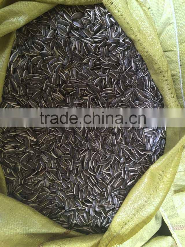Inner Mongolia Sunflower seeds 5009