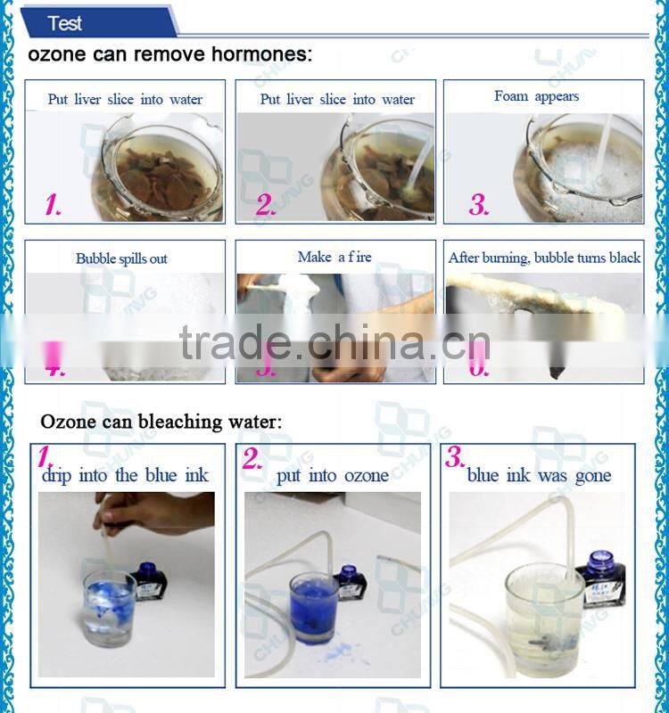 New arrival corona discharge ozone generator ceramic plate