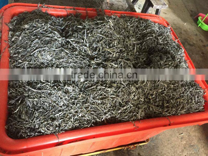2015 Natural Thermal sun dried kelp cut,shredded laminaria,seaweed strips salad,sliced seaweed