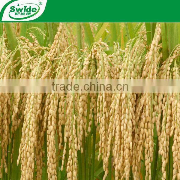 2-1-1 +30%organic fertilizer with low price