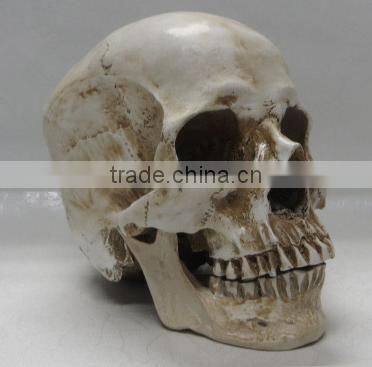 Halloween Decoration Carevd Resin Skull Sculpture