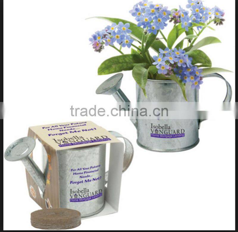 Wholesale Mini Kids Metal Watering Can