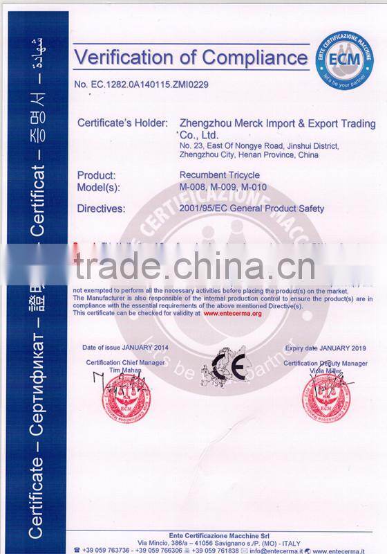 Pedal assisted single person recumbent trike