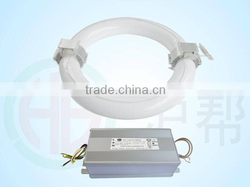 low frequency energy saving lamp complete series 40-300W E40 Round price induction lamp