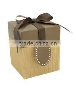 Luxury Laminationed Kraft Paper Bags for Shopping / Shopping Bags