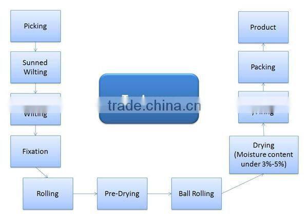 Bubble Tea beverage product type tea types of tea bag oolong tea