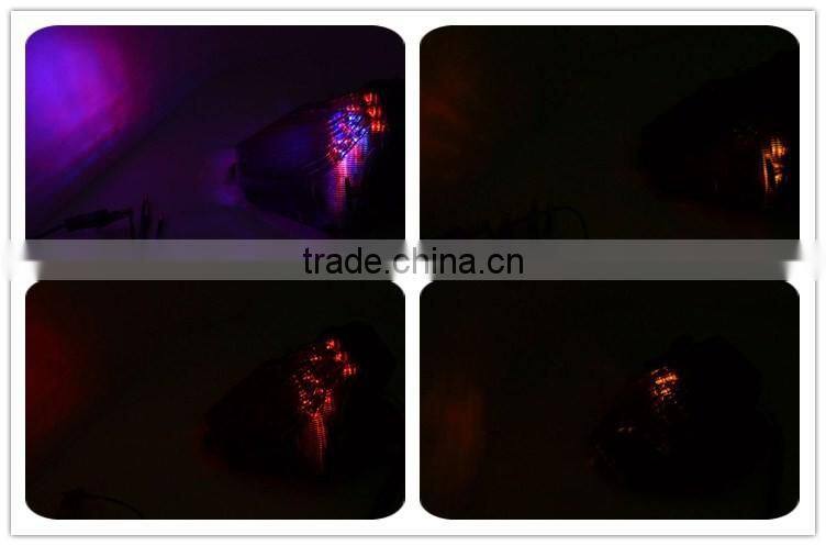 BJ-LPL-040 Aftermarket Custom Smoke Housing Motorcycle Tail light for Yamaha YZF R3 R25