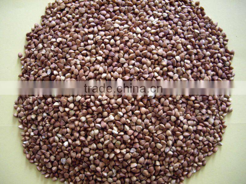 Chinese Buckwheats Kernels,Crop 2012