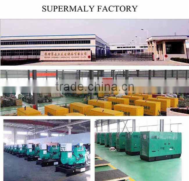 350kw natural gas generating set