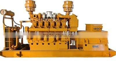 Biomass gasification type power generator