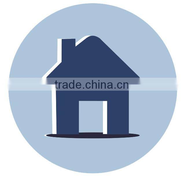 customzied branded lace dress shirt for woman