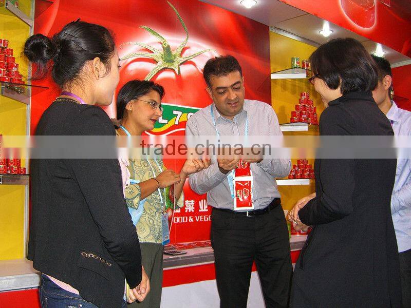 Delicious tomato paste with low price 800g canned tomato paste