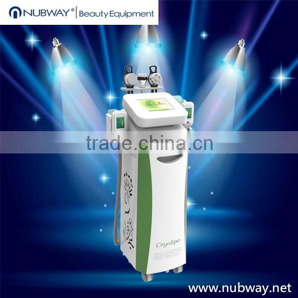 cryolipolysis fat freezing cryolipolysis machine beauty spa/ clinic for sale