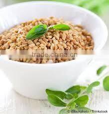 FENUGREEK SEEDS INDIAN METHI DANA