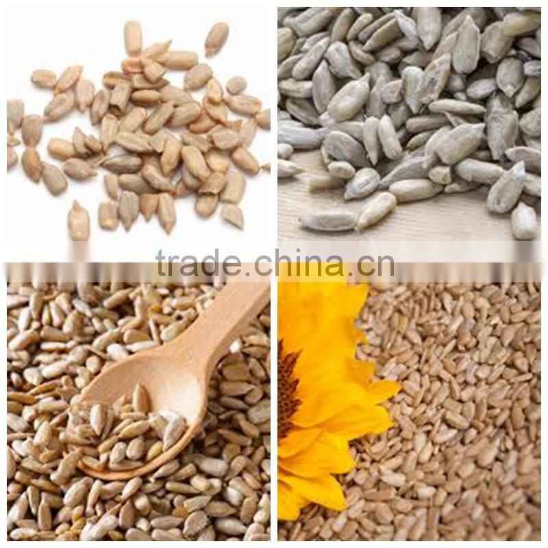 sunflower kernels Chinese organic dried sunflower seeds
