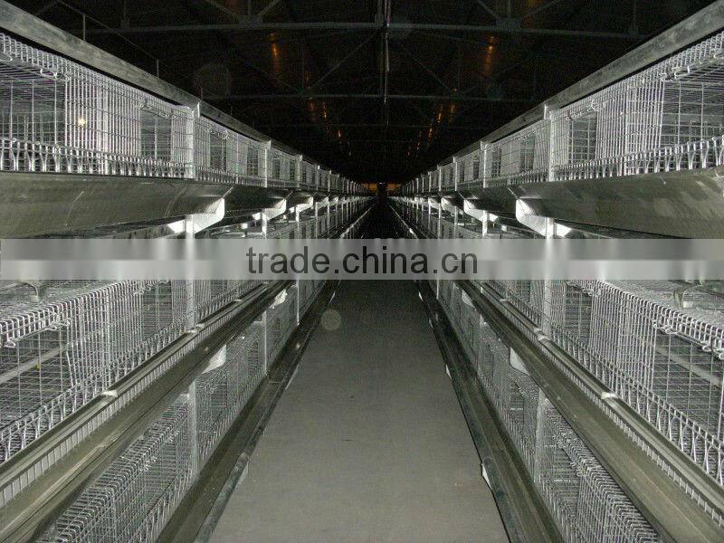 9LCDr-3168 Hot Galvanized Automatic H-type Broiler Chicken Coop