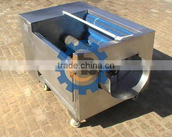 Fresh Ginger Water Washer And Brush Roller Peeler