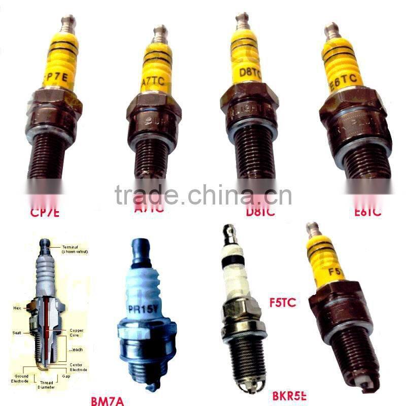 Spark Plug/All Kinds of Spark Plug for Motorcycle