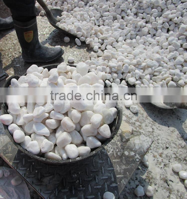 Tumbled Snow White Pebble Stone for Landscaping Paving