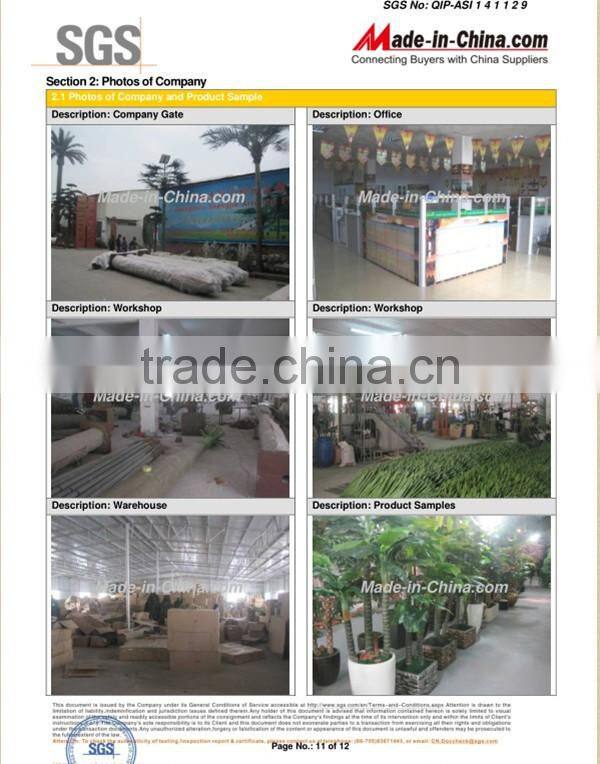 SJLJ013383 artificial succulent plants for wall / wedding / hotel decoration