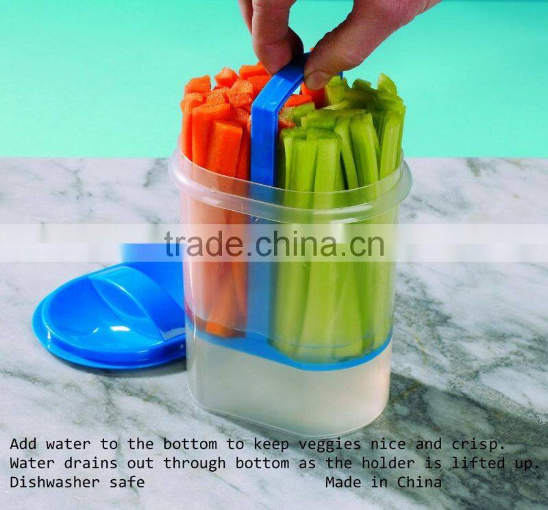 Plastic Storage Containers With Lid For Water Drain Box