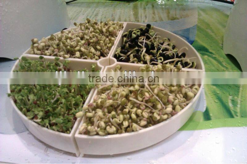 Tray Kitchen Sprouter