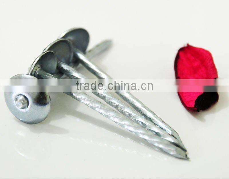galvanized roofing nails price