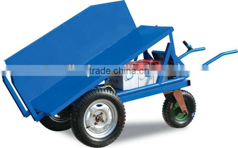 Electrical tricycle for fruit/Electro Three Wheel Motorcycle Power Driven Vehicle Hydraulic Dump Truck