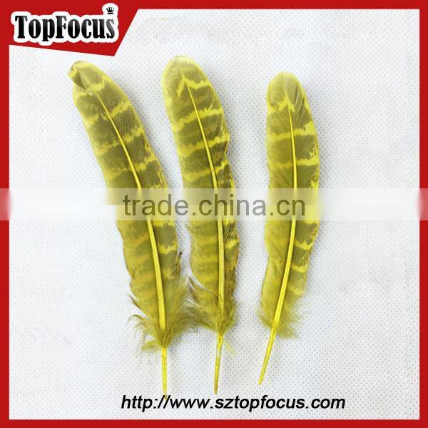 reeves cheap Natural Pheasant Tail Pheasant Feather for sale