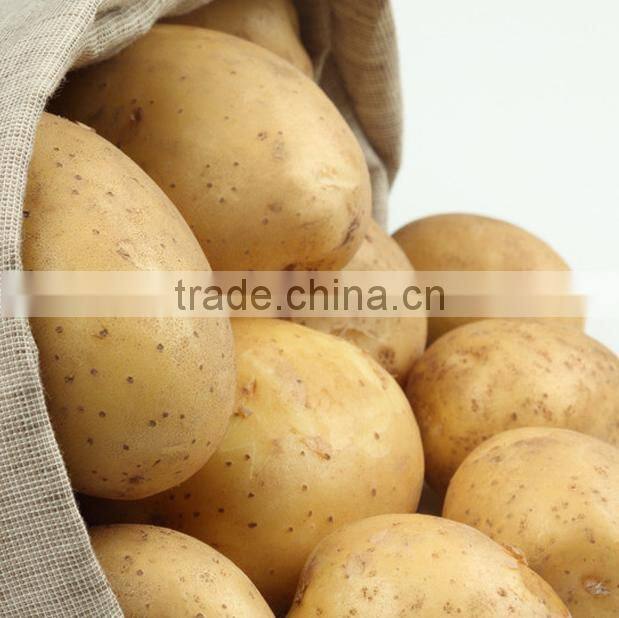 China potato 2016