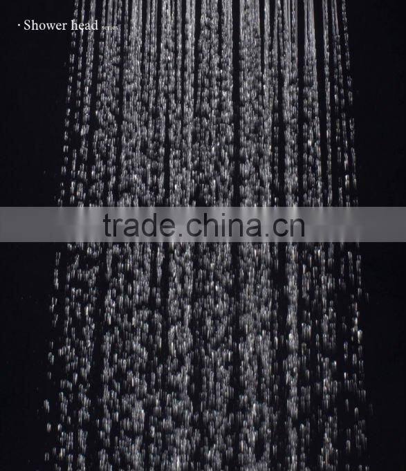 Shower head with high quality,Item No.HDDP2046