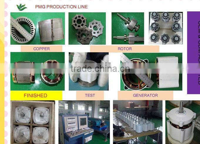 small alternator 18v/36v 400w