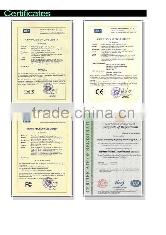 ip65 new product solar induction light street lamps