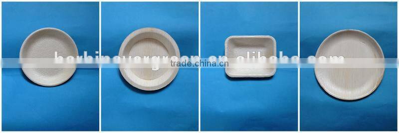 4''x4'' palm leaf dinnerware palm leaf plate