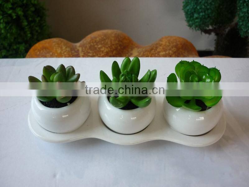 Wholesale high quatity artificial decorative succulent plants,cheap artificial plants