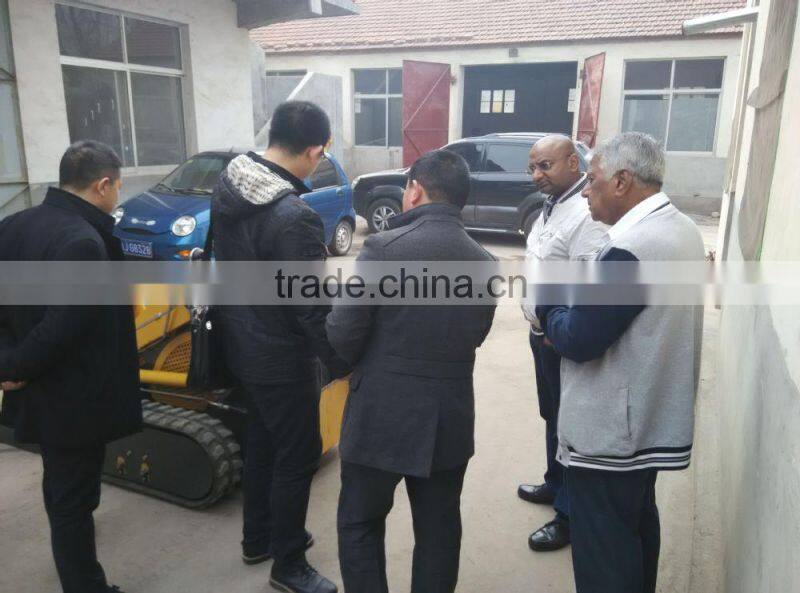 Mini Skid Steer Loader with Trencher Attachment/Angle Broom Attachment